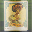 DO Cava - Cavas Naveran - Cava Brut Vintage 2015, 0,75l