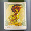 DO Cava - Cavas Naveran - Cava Brut vintage 2017 Magnum 1,5L