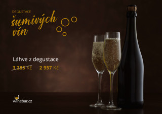 Láhve z degustace šumivých vín 8x 0,75l
