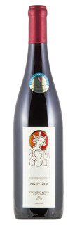 Vinařství Oulehla - Pinot Noir pozdní sběr 2017 0,75l